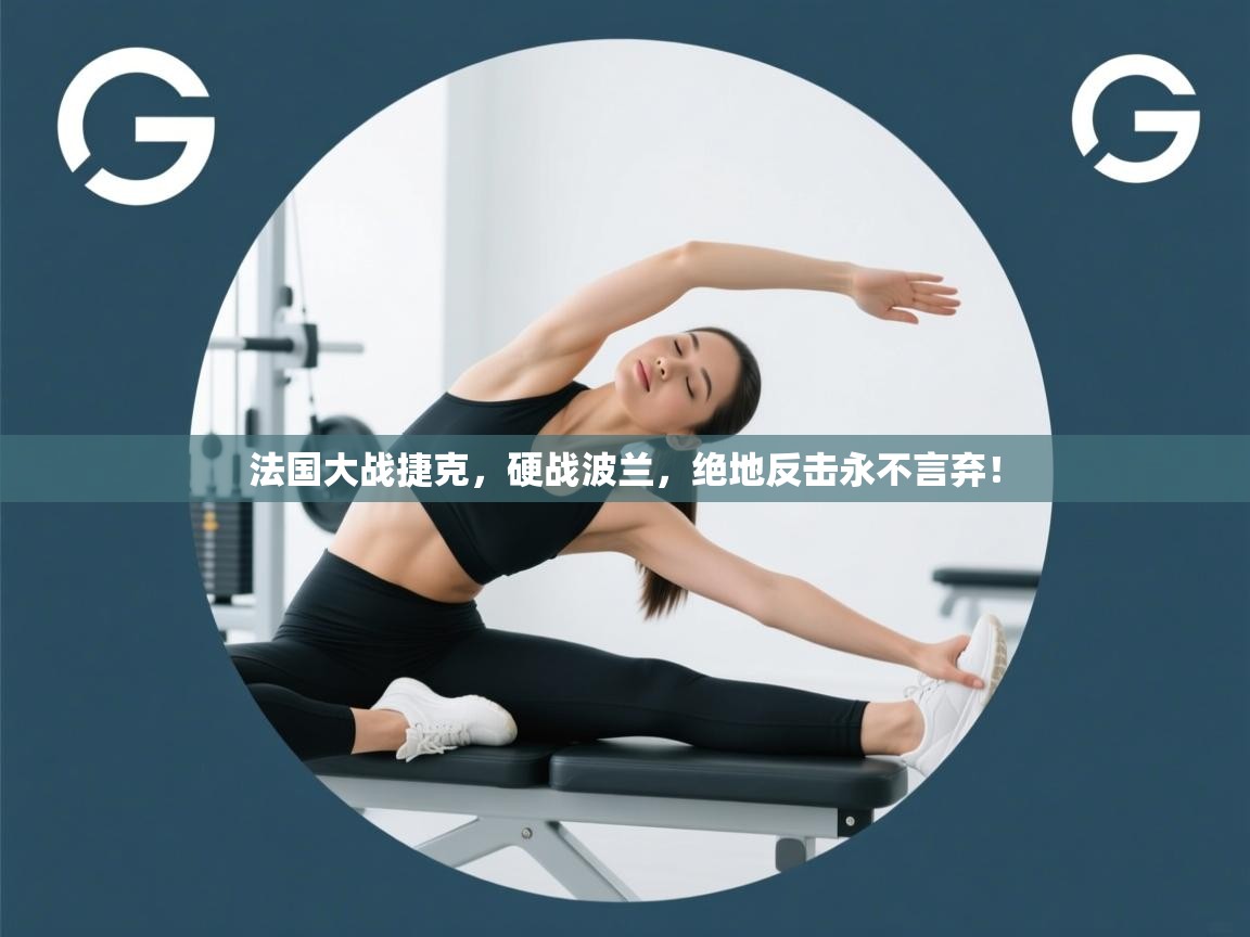 法国大战捷克，硬战波兰，绝地反击永不言弃！  第1张